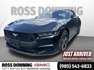 2024 Ford Mustang EcoBoost