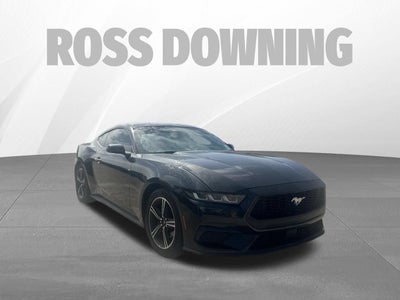 2024 Ford Mustang EcoBoost Fastback