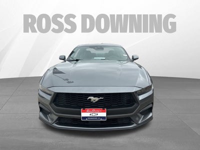2025 Ford Mustang EcoBoost
