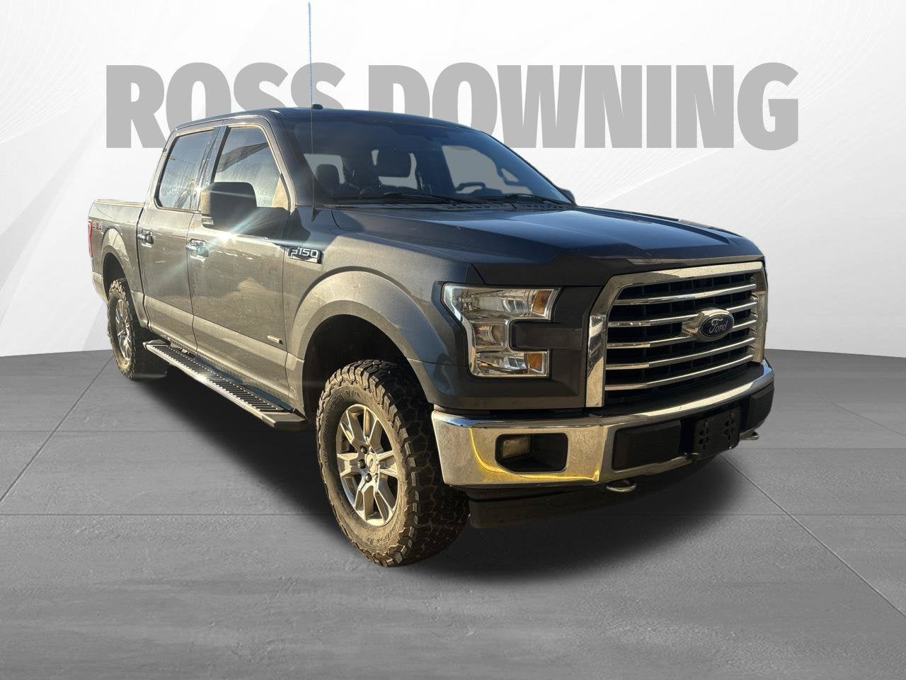 2017 Ford F-150 XL