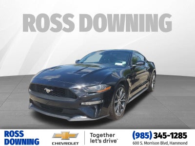 2019 Ford Mustang EcoBoost