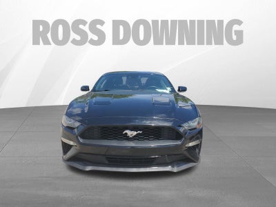 2019 Ford Mustang EcoBoost