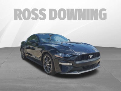 2019 Ford Mustang EcoBoost