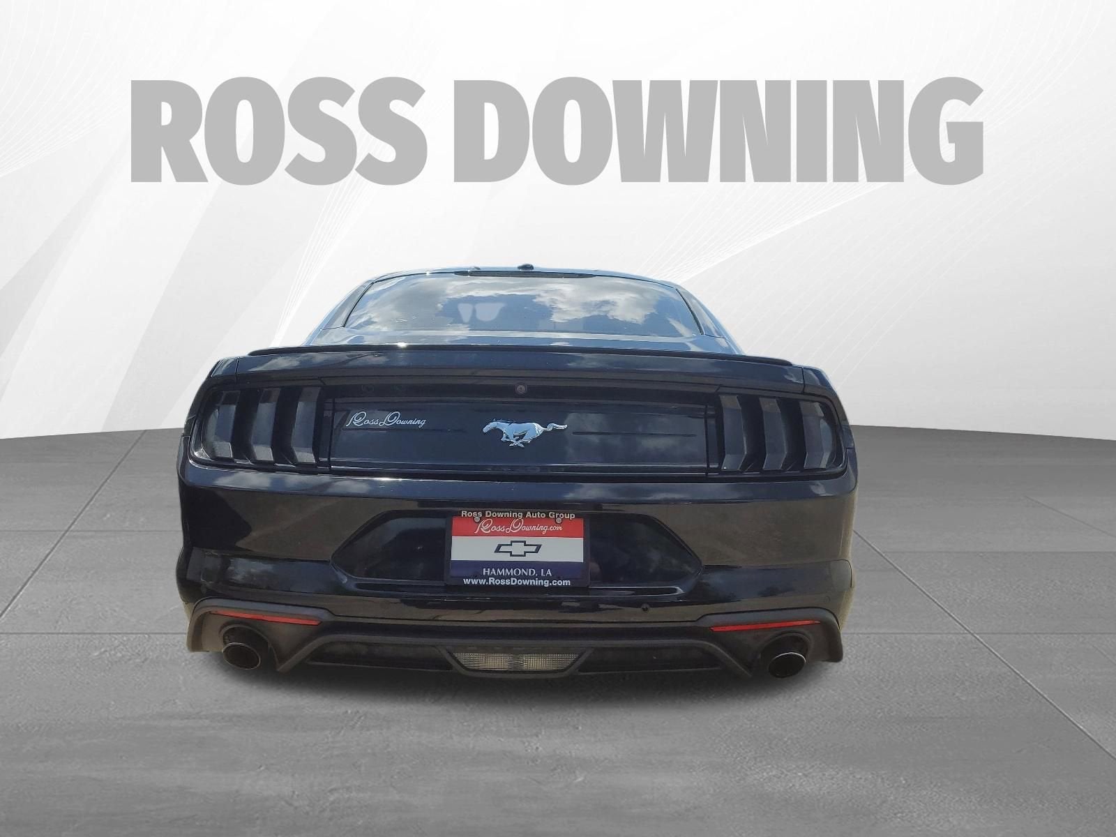 2019 Ford Mustang EcoBoost