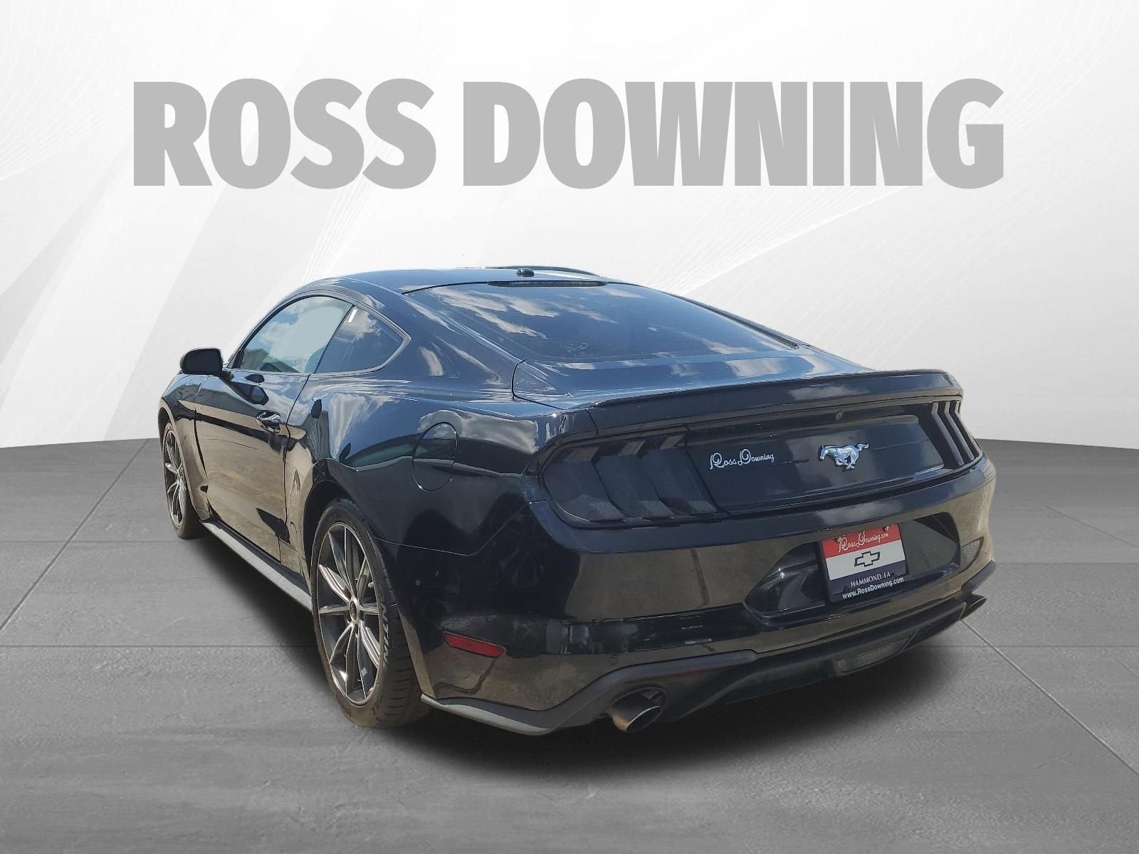 2019 Ford Mustang EcoBoost