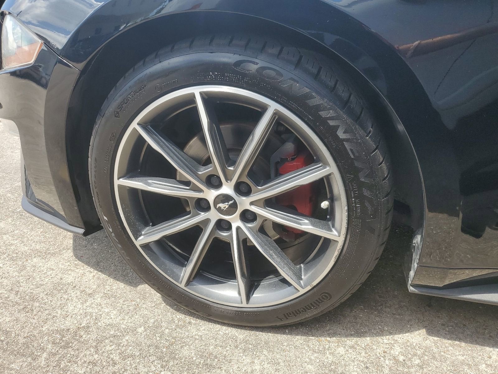 2019 Ford Mustang EcoBoost