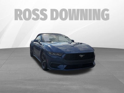 2024 Ford Mustang EcoBoost