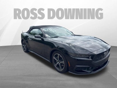 2025 Ford Mustang EcoBoost