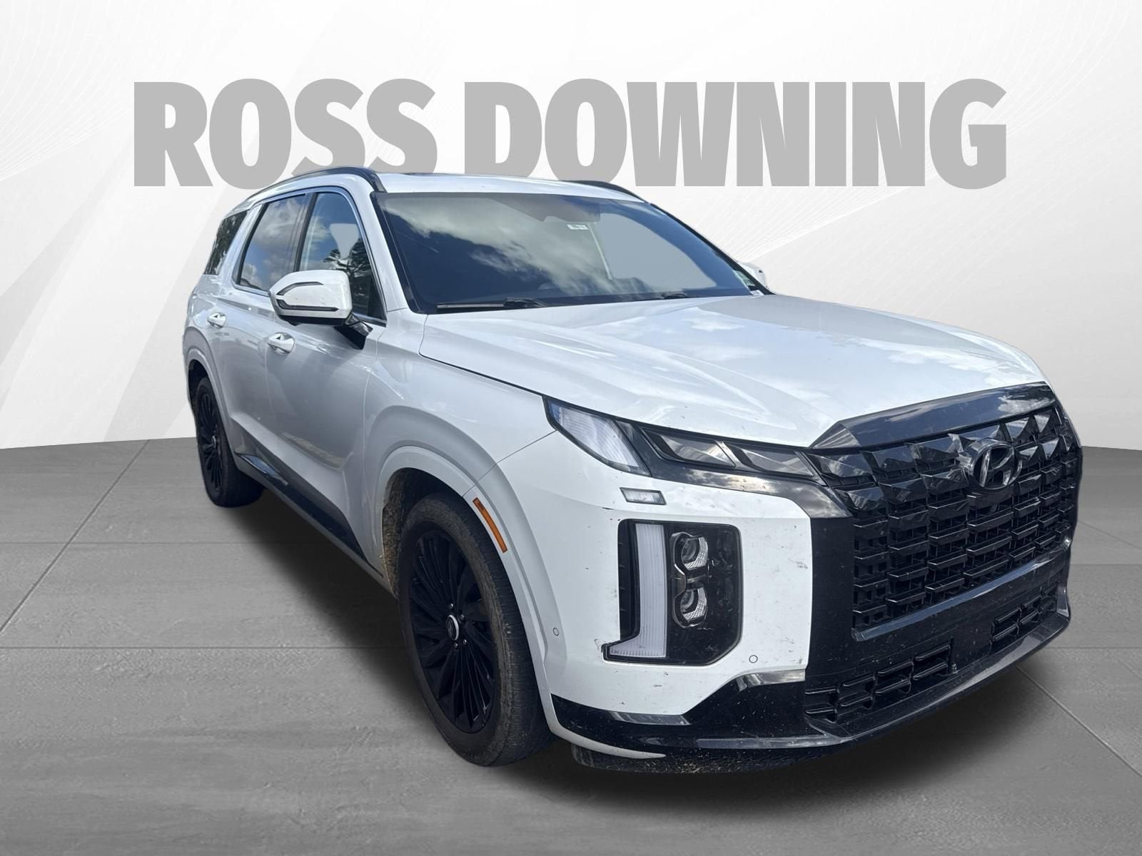 2025 Hyundai Palisade Calligraphy Night Edition