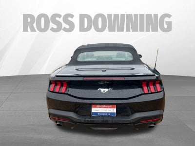 2024 Ford Mustang EcoBoost Premium