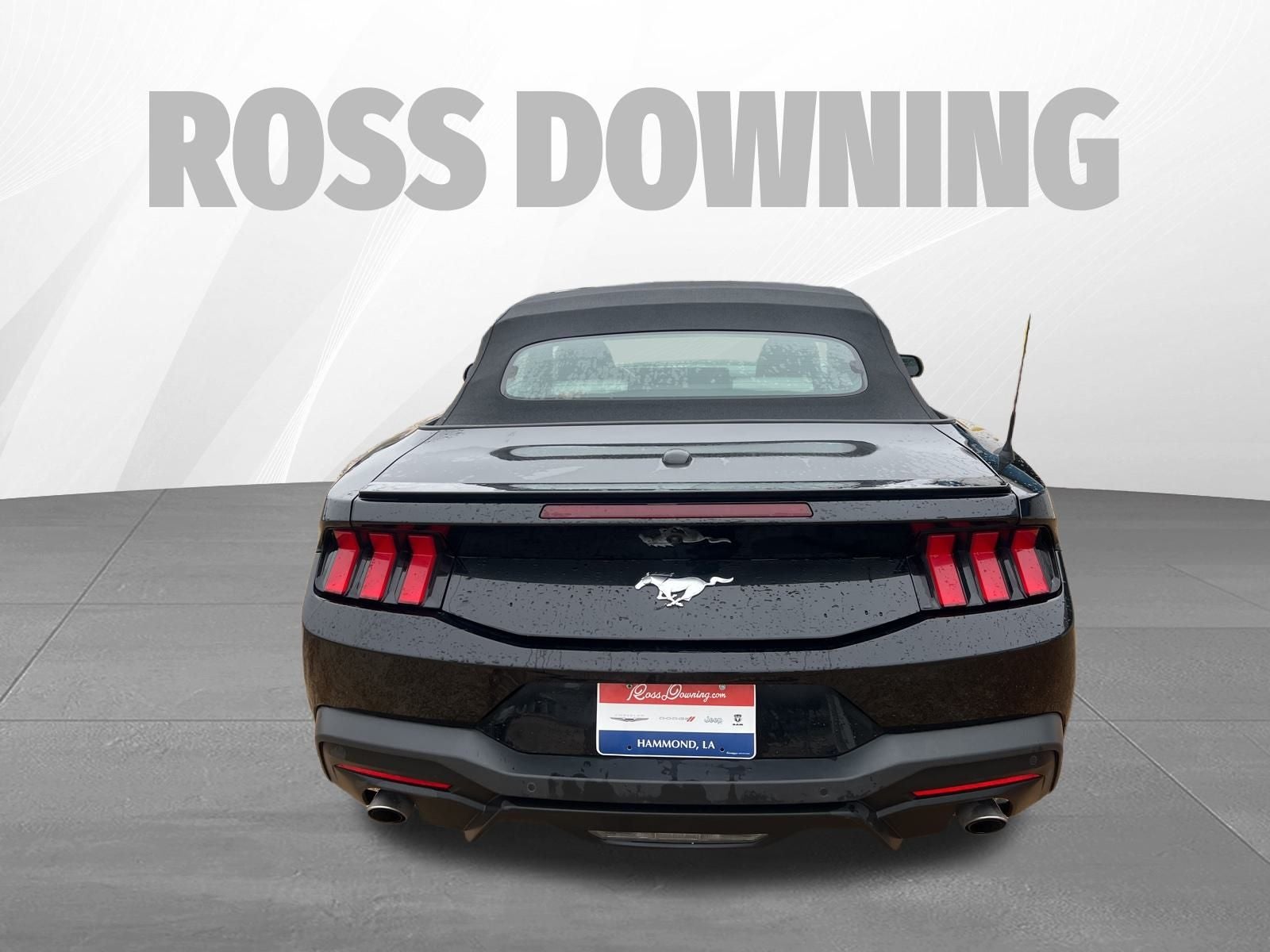 2024 Ford Mustang EcoBoost Premium